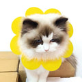 Sunflowers Anti Bite Healing Wound Pet Collar Cone Supplies